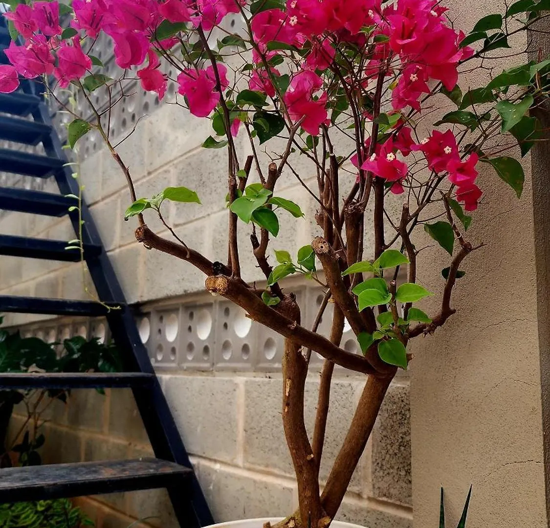 Quan Phat Villa Homestay ファンティエット